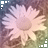 Blumen icons bilder