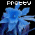 Blumen icons bilder