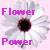 Blumen icons bilder