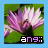 Blumen icons bilder