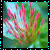 Blumen icons bilder