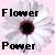 Blumen icons bilder