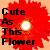 Blumen