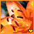 Blumen icons bilder