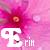 Blumen icons bilder