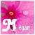 Blumen icons bilder