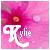 Blumen icons bilder