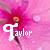 Blumen icons bilder