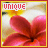 Blumen icons bilder