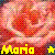 Blumen icons bilder