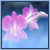 Blumen icons bilder