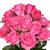 Blumen icons bilder