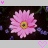Blumen