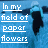 Blumen icons bilder