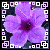 Blumen