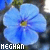Blumen icons bilder