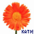 Blumen icons bilder