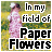 Blumen icons bilder