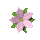 Blumen icons bilder