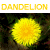 Blumen icons bilder