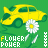 Blumen icons bilder