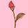 Blumen icons bilder