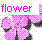 Blumen icons bilder