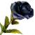 Blumen icons bilder