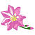 Blumen icons bilder