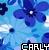 Blumen icons bilder