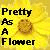 Blumen icons bilder