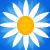 Blumen icons bilder