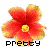 Blumen icons bilder