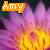 Blumen icons bilder