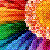 Blumen icons bilder