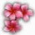 Blumen icons bilder