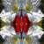 Blumen icons bilder