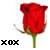 Blumen icons bilder