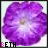 Blumen icons bilder