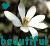 Blumen icons bilder