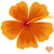 Blumen icons bilder
