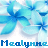 Blumen icons bilder