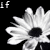 Blumen icons bilder