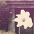Blumen icons bilder