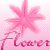 Blumen icons bilder