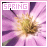 Blumen icons bilder
