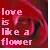 Blumen icons bilder