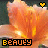 Blumen