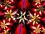 Blumen icons bilder