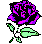 Blumen icons bilder